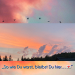 ein Bild aus dem Album