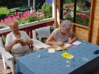 das zu meldende Bild