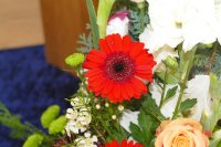 ein Bild aus dem Album