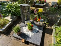 ein Bild aus dem Album