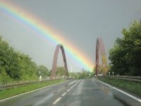 das zu meldende Bild