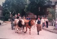 das zu löschende Bild