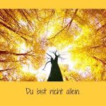 das zu meldende Bild